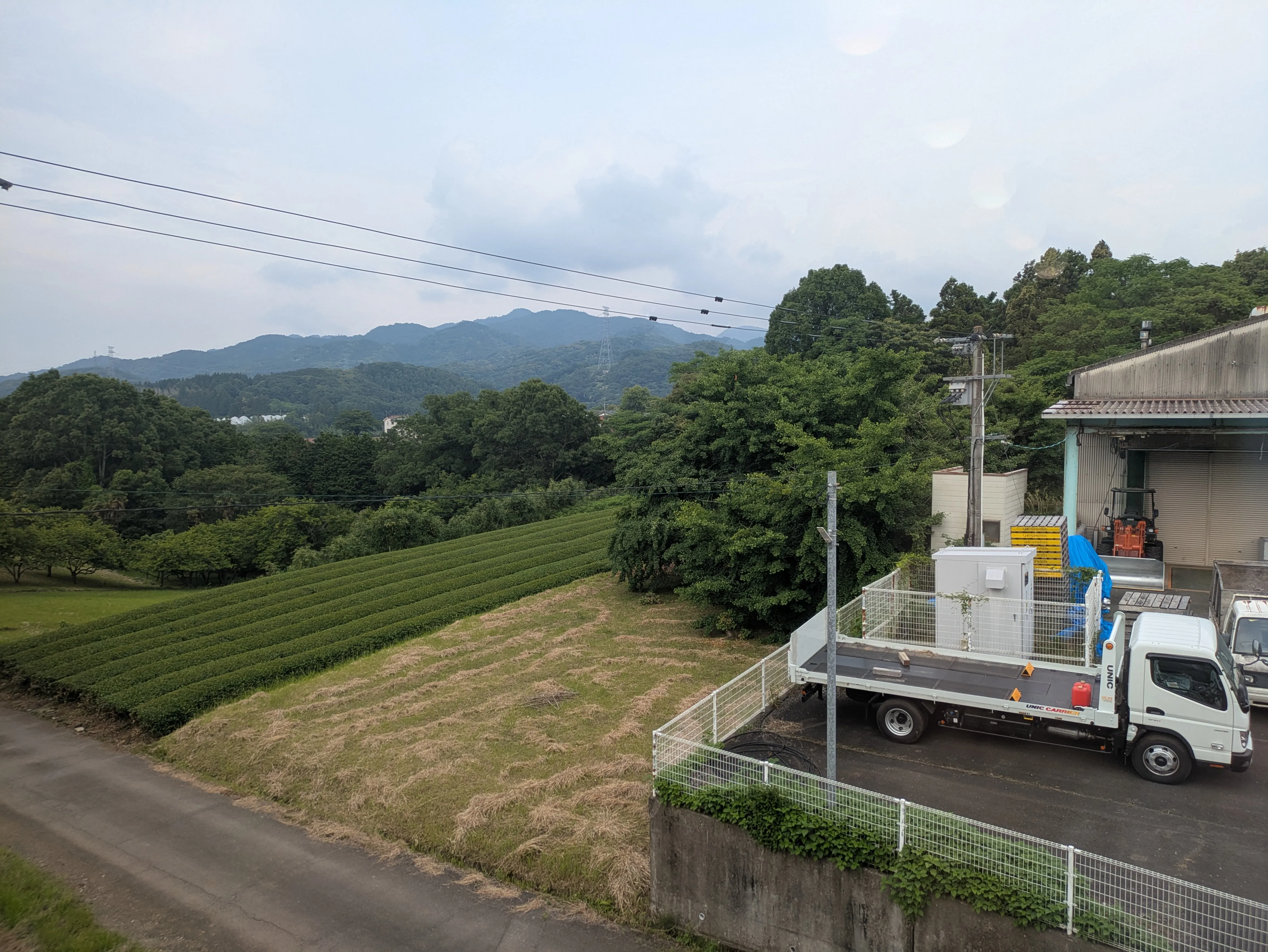 臼杵の自然豊かな髙橋製茶の茶畑